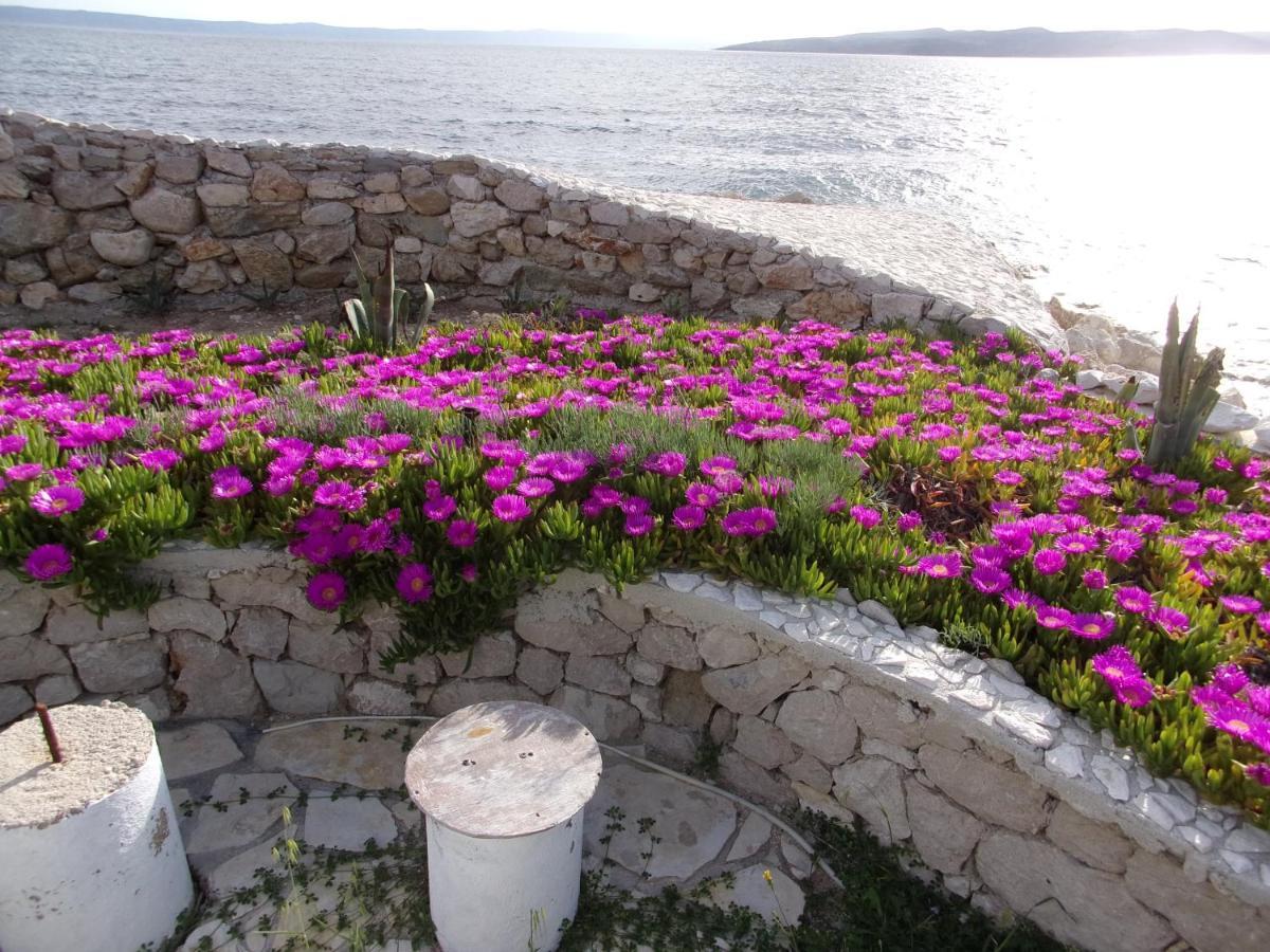 Appartement Pura Vida Makarska Extérieur photo